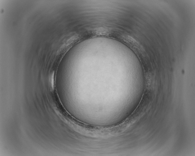 X0000086880028200704231114