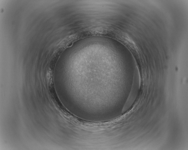 X0000086880029200704231114