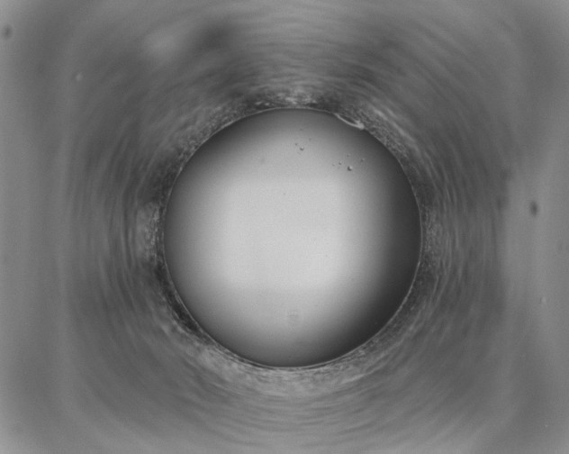 X0000086880030200704231114