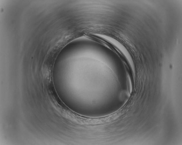 X0000086880031200704231114