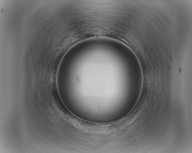 X0000086880032200704231114