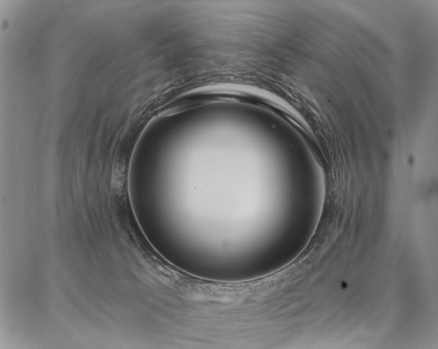 X0000086880033200704231114