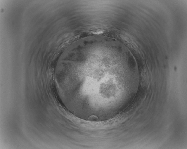 X0000086880034200704231114