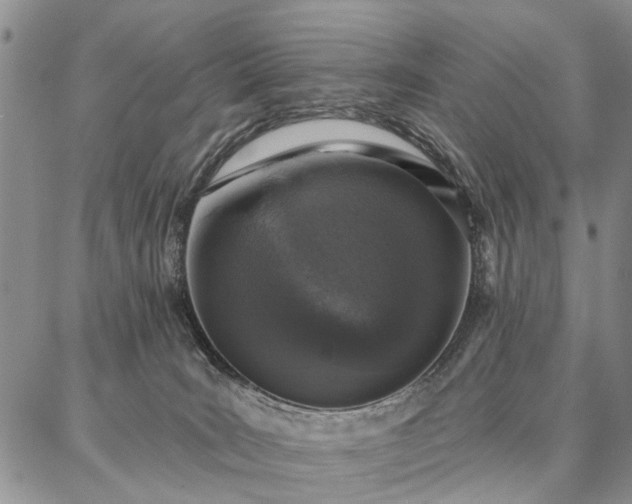 X0000086880035200704231114