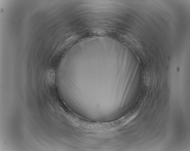 X0000086880036200704231114