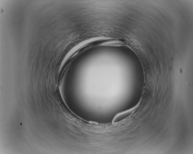 X0000086880037200704231114