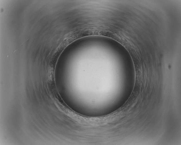 X0000086880038200704231114