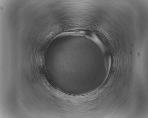 X0000086880039200704231114