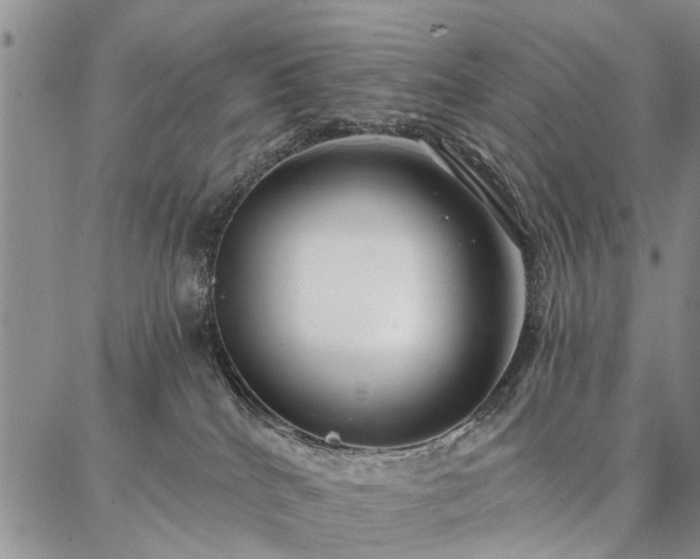 X0000086880040200704231114