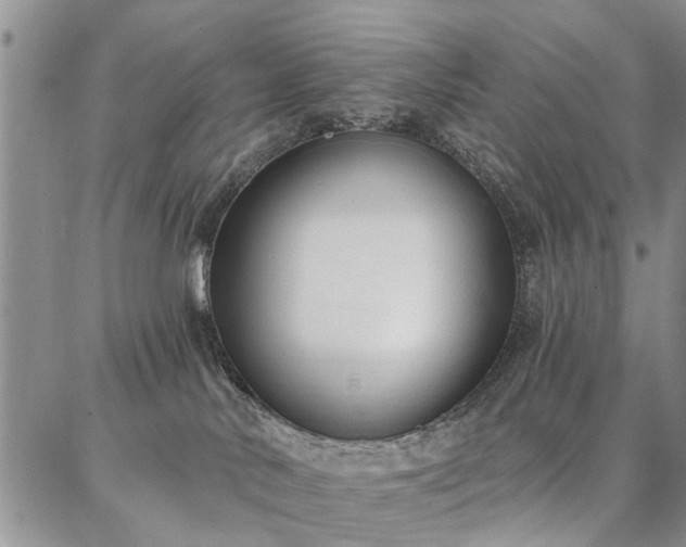 X0000086880042200704231114