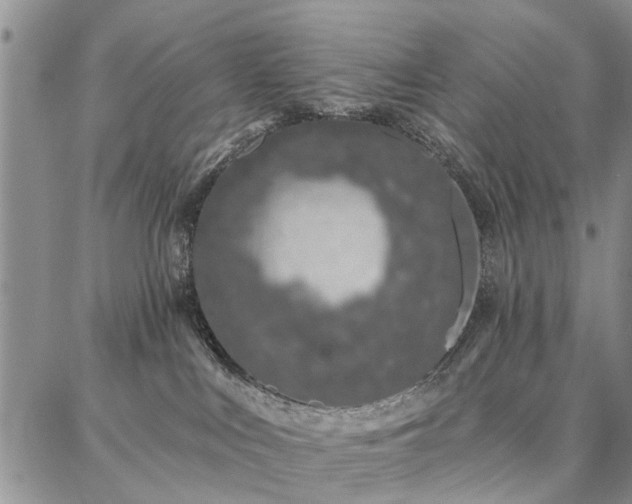 X0000086880043200704231114