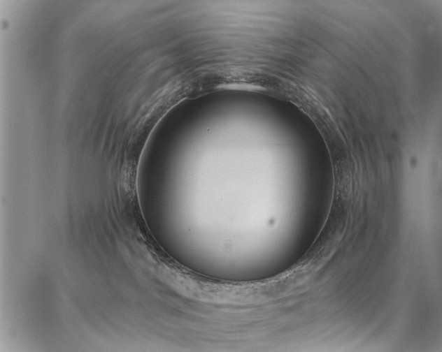 X0000086880044200704231114