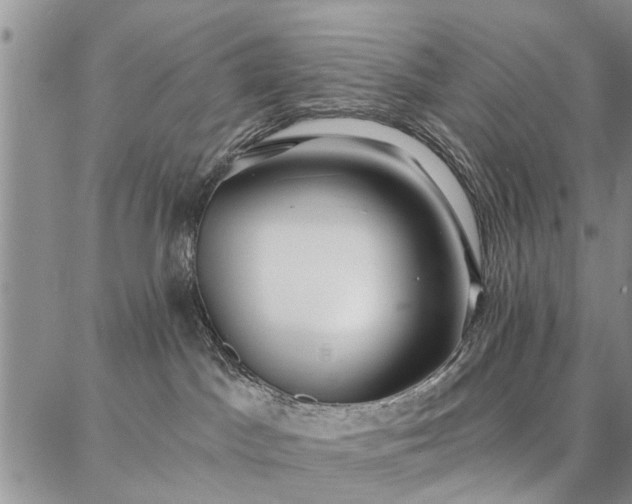 X0000086880045200704231114