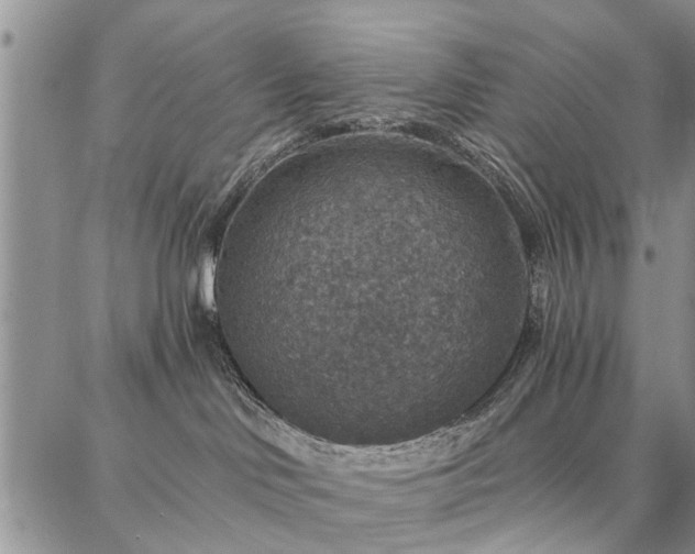 X0000086880046200704231114