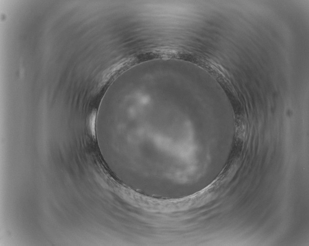 X0000086880047200704231114