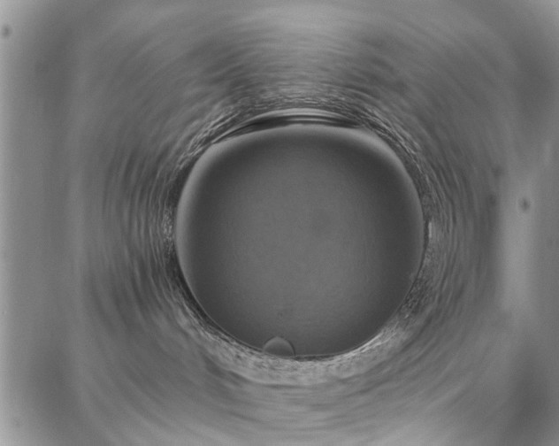 X0000086880048200704231114