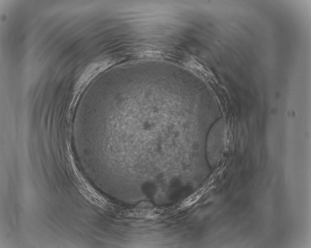 X0000086880049200704231113