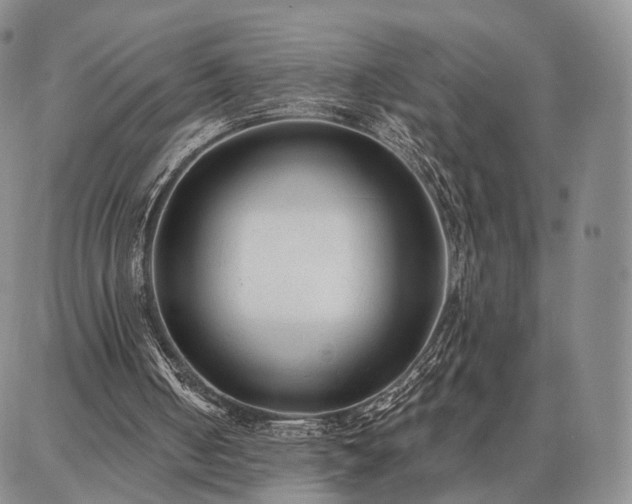 X0000086880050200704231113