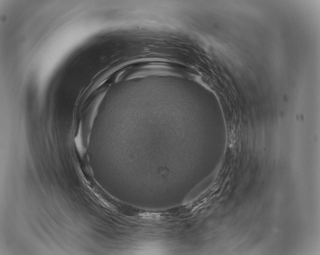 X0000086880052200704231113