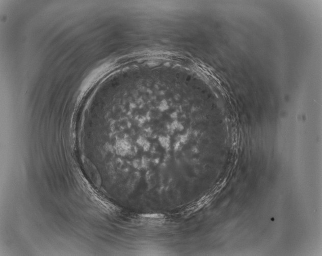 X0000086880053200704231113