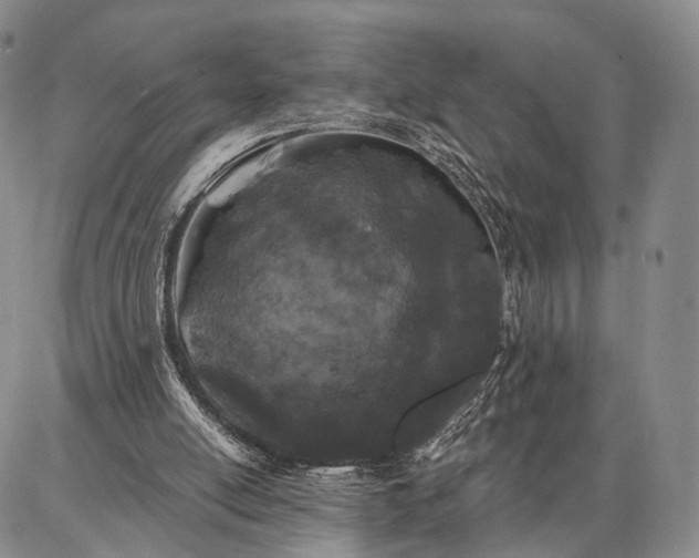 X0000086880054200704231113