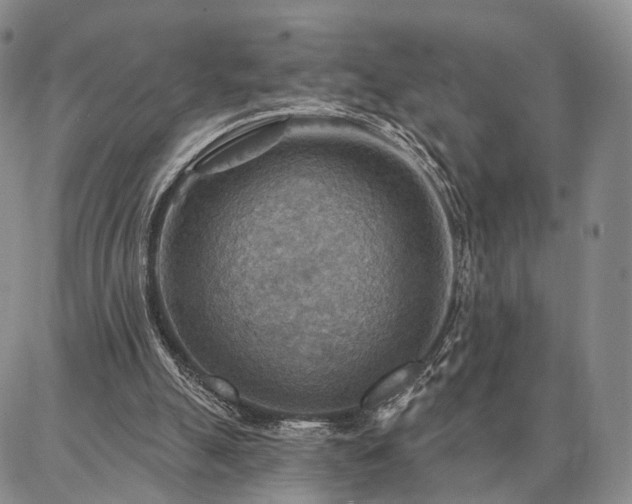 X0000086880055200704231113