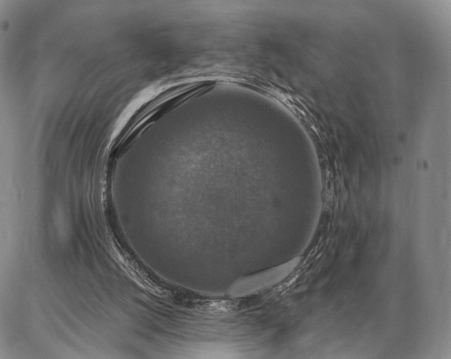 X0000086880056200704231113