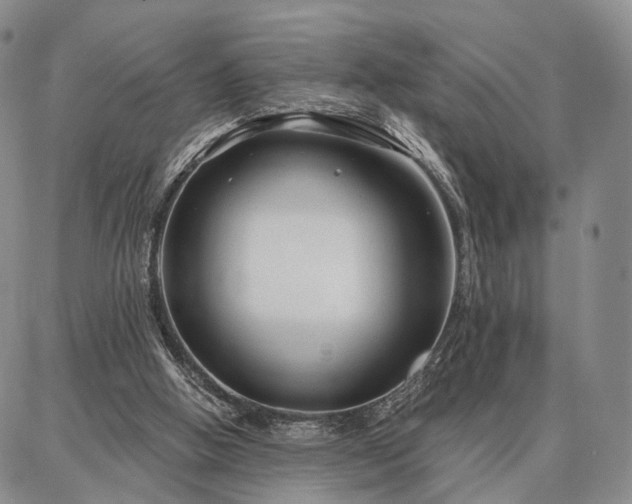 X0000086880058200704231113