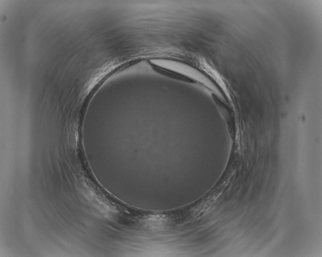 X0000086880059200704231113