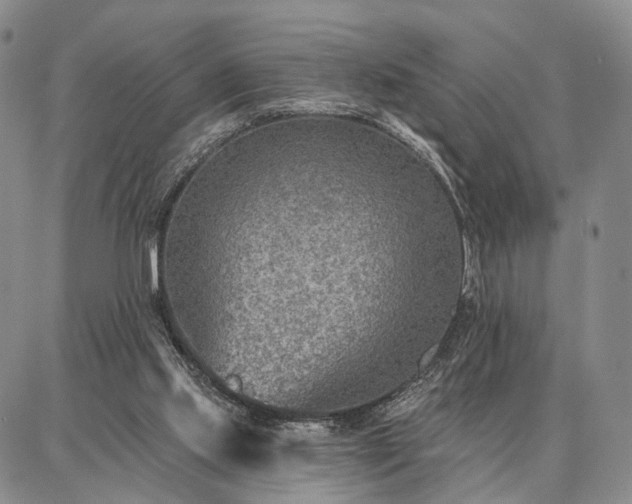 X0000086880061200704231113