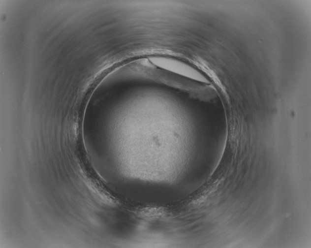 X0000086880063200704231113