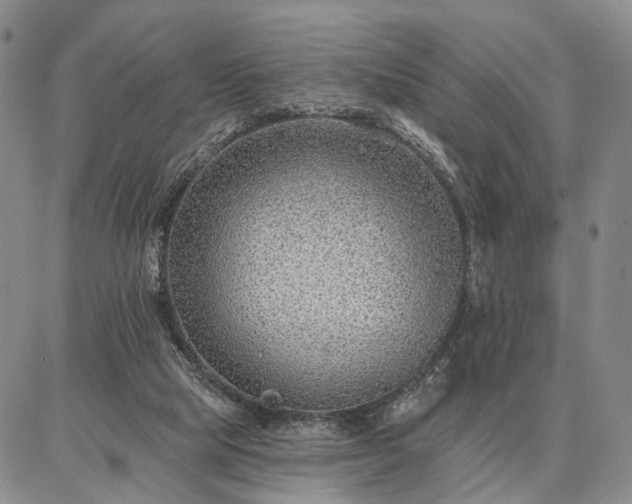 X0000086880065200704231113