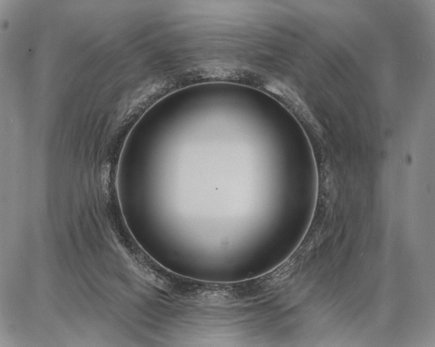 X0000086880066200704231113