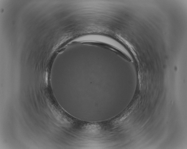 X0000086880067200704231113