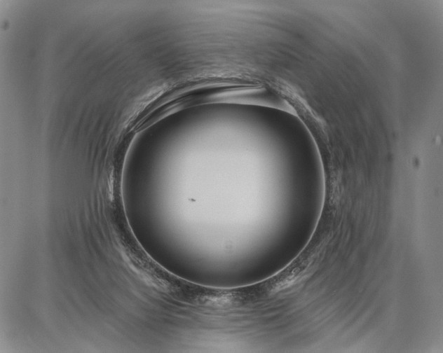 X0000086880068200704231113