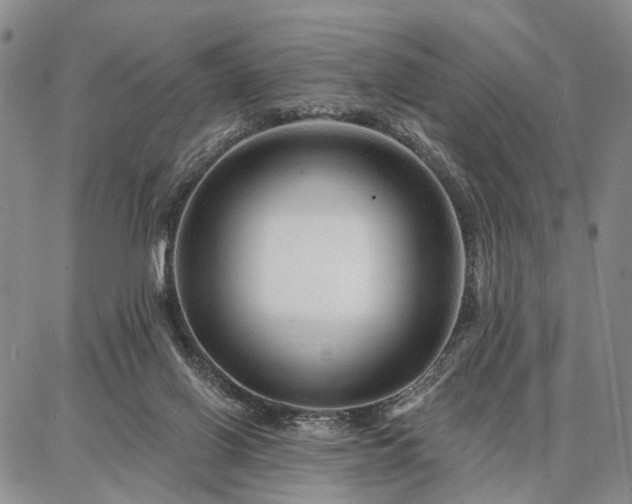 X0000086880070200704231113