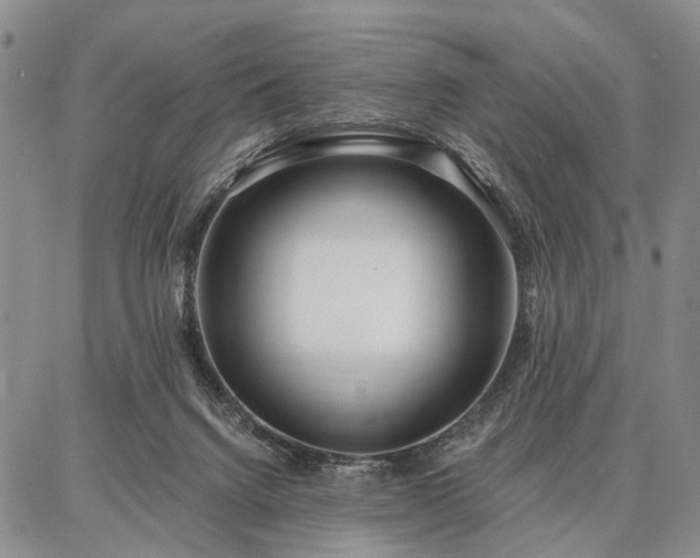 X0000086880072200704231113