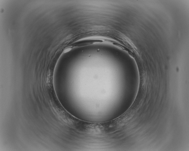 X0000086880073200704231113