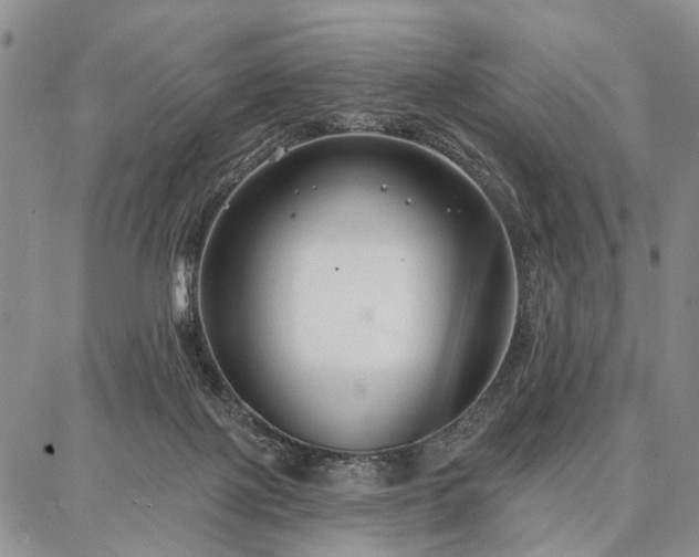 X0000086880075200704231113