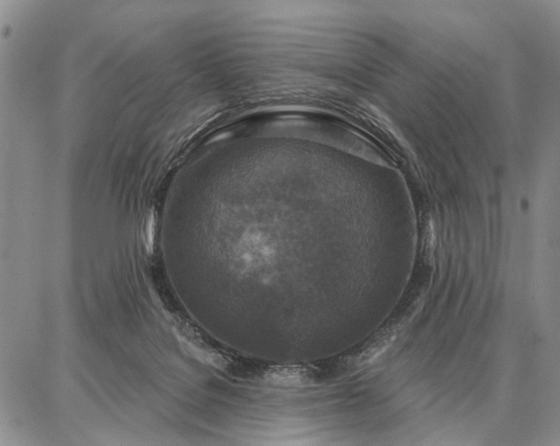 X0000086880076200704231113