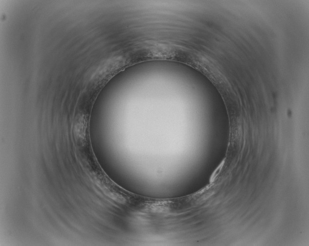 X0000086880078200704231113