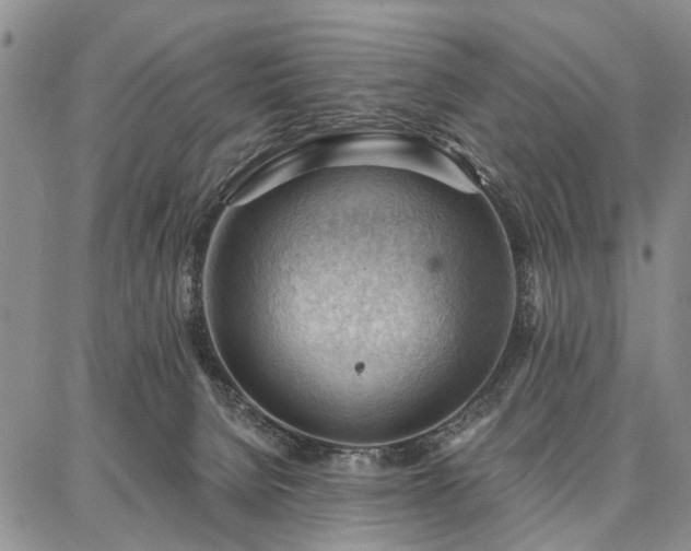 X0000086880080200704231113