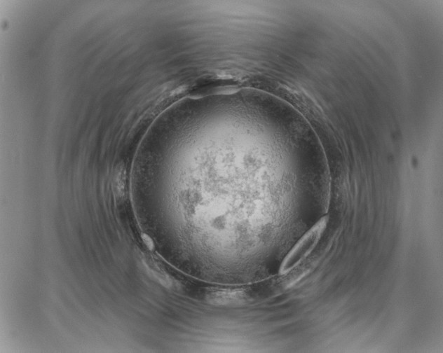 X0000086880081200704231113