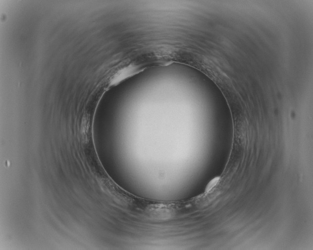 X0000086880082200704231113