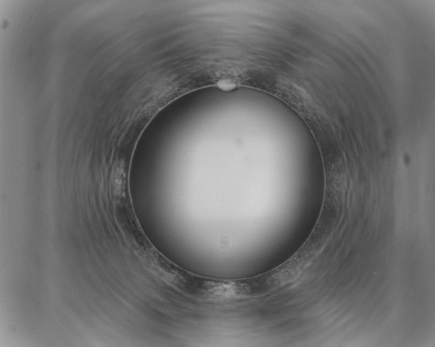 X0000086880083200704231113