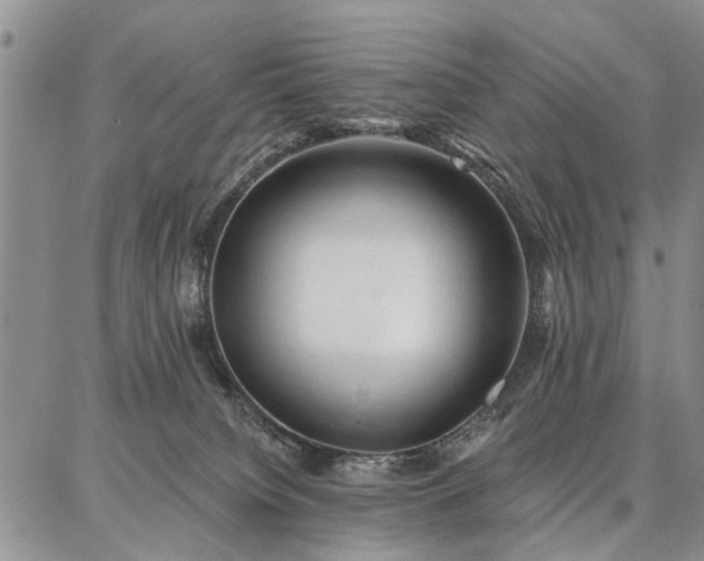 X0000086880084200704231113