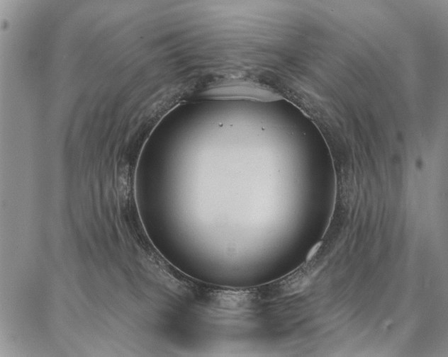 X0000086880085200704231113