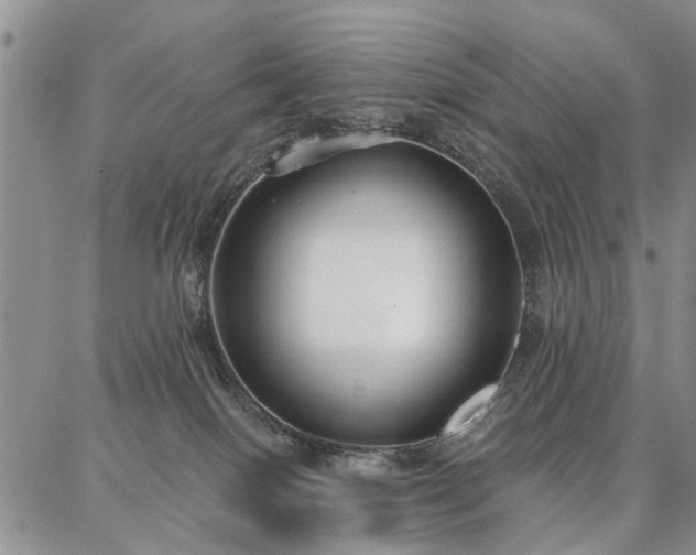 X0000086880086200704231114