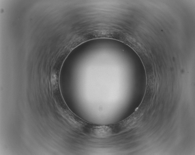 X0000086880087200704231114