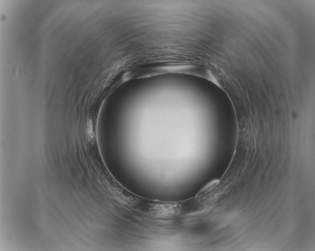 X0000086880089200704231114